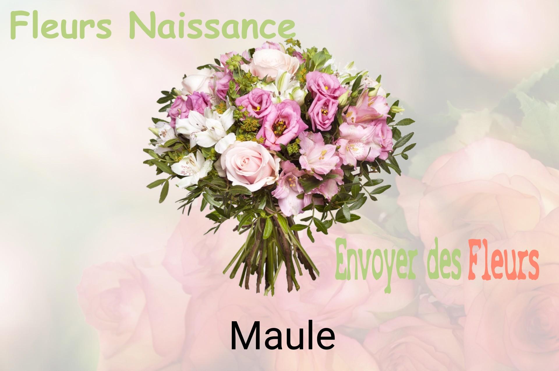 Bouquet de fleurs de naissance livré à Maule