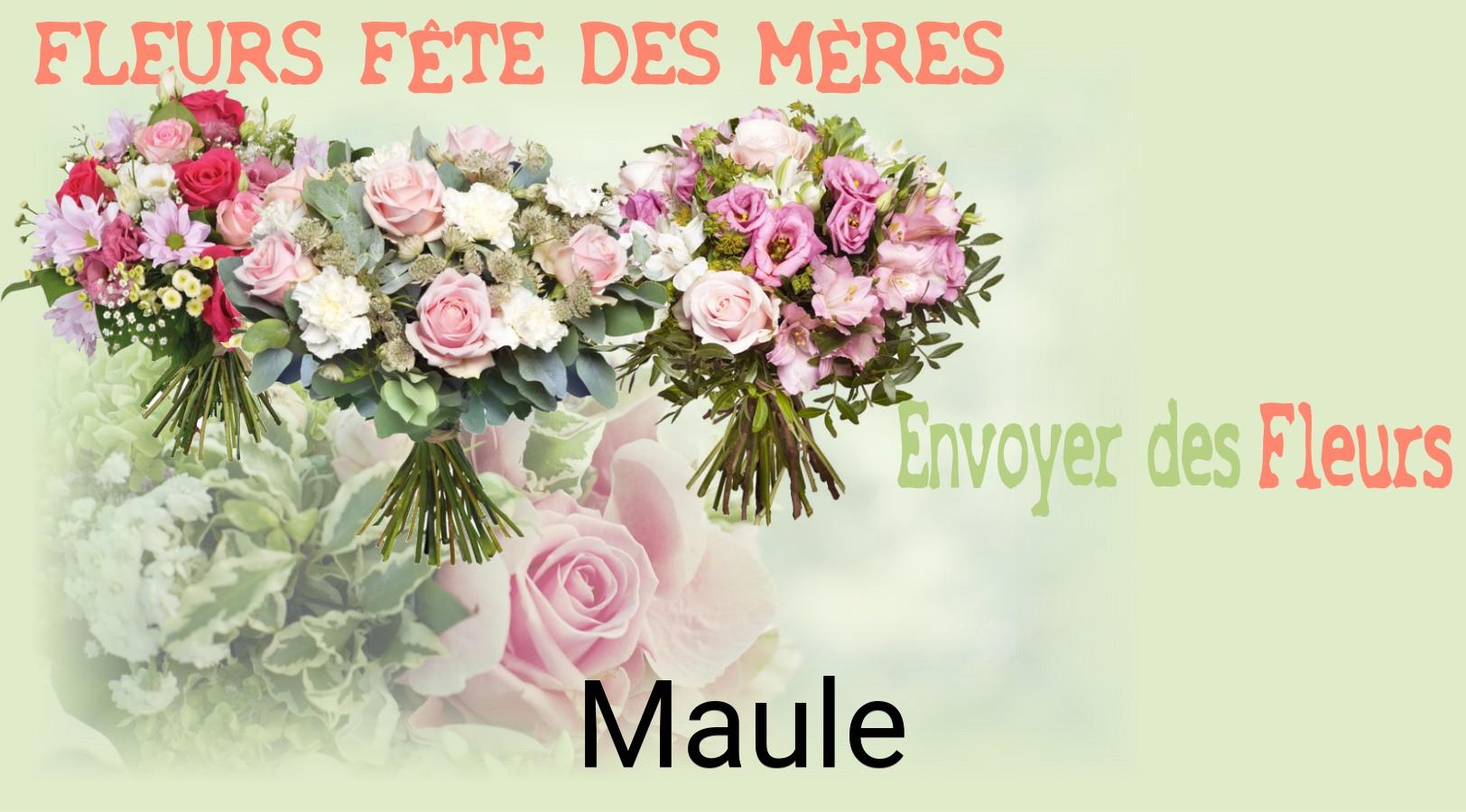 Bouquet de Fête des Mères livré à Maule